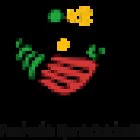 Sankofa Lingua Academy