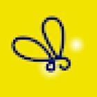 Évoluciole - Cours d'anglais et d'espagnol à Québec et en ligne | École de langues pour adultes