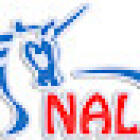 Nal New Age Language