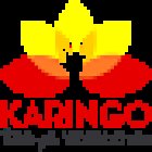 karingo_babys_verstehen