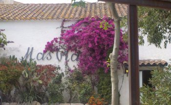 Restaurant Celler Mas Pla