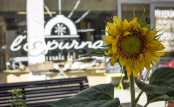 L'Espurna Pan Pizza y Crêpes