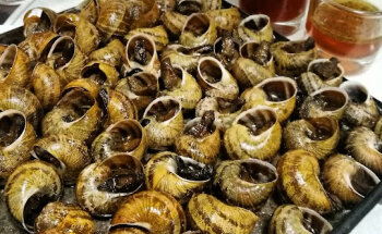 Bar Restaurant Sport, S.L.