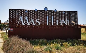 Mas Llunes, Vinyes i Cellers