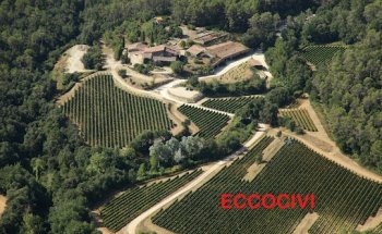 Eccociwine