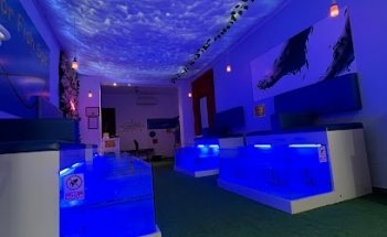 FISH SPA DR. ESTARTIT