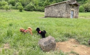 Chapel of Saint Margaret