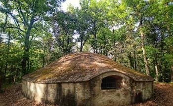 Pou de Glaç de Buscastell