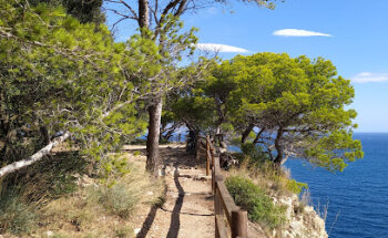 IMMO PRESTIGE | VACAY