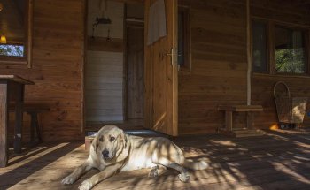 Masía El Moli de Can Aulet