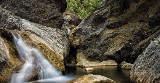 Camping Bassegoda Park