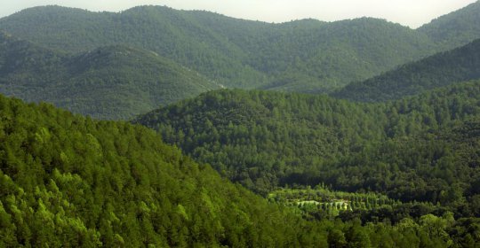 Camping Bassegoda Park