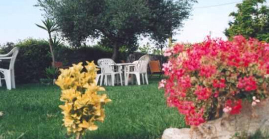 resataurant can pepo