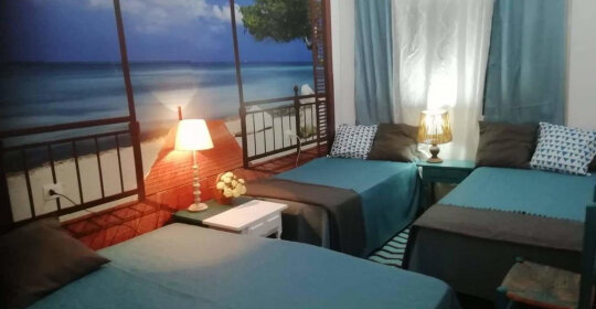 Habitacions Can Pau Guest House