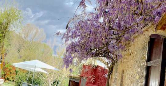 Hotel Masia La Palma