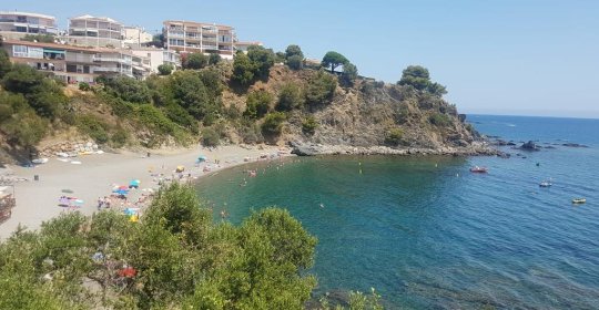 Habitaciones Cau del llop