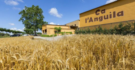 Turisme Rural Ca l'Anguila