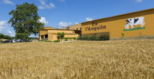 Turisme Rural Ca l'Anguila