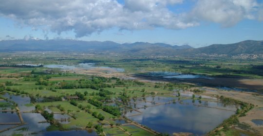 Parc Natural dels Aiguamolls de l'Empordà