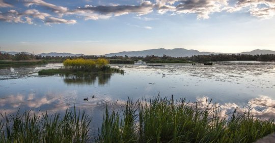 Parc Natural dels Aiguamolls de l'Empordà