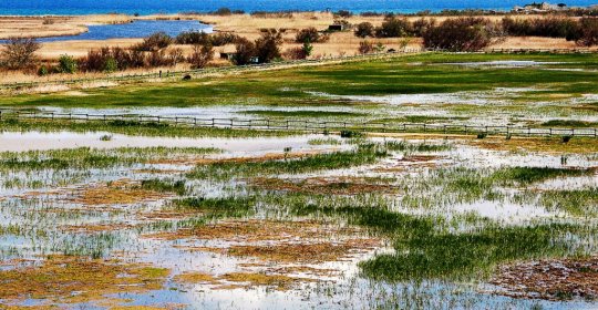 Parc Natural dels Aiguamolls de l'Empordà