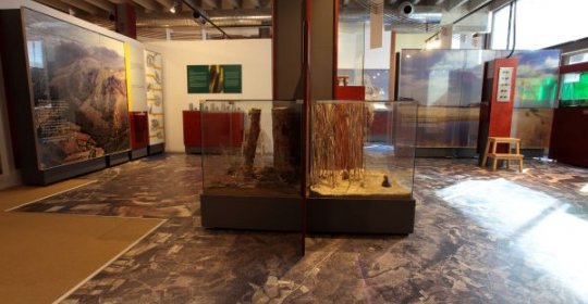 Museu de la Mediterrània