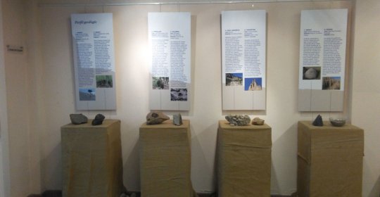 Museu de l'Anxova i la Sal