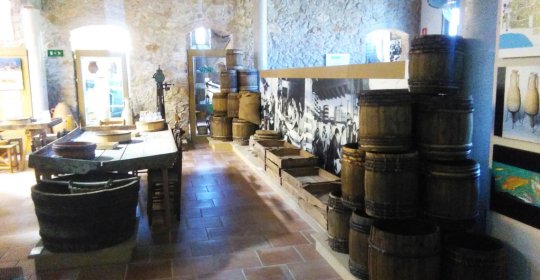 Museu de l'Anxova i la Sal