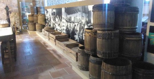 Museu de l'Anxova i la Sal