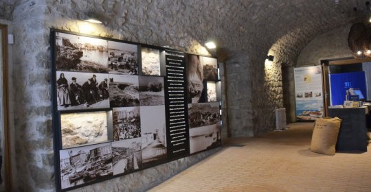 Museu de l'Anxova i la Sal