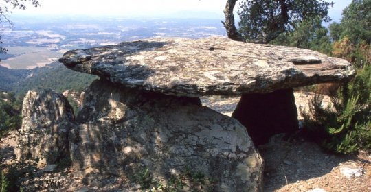 Paratge Natural d'Interès Nacional de l'Albera
