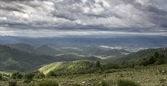 Paratge Natural d'Interès Nacional de l'Albera