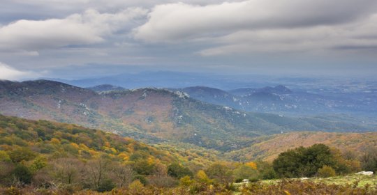 Paratge Natural d'Interès Nacional de l'Albera