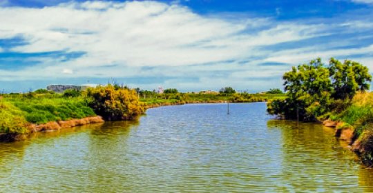 Parc Natural del Montgrí, les Illes Medes i el Baix Ter