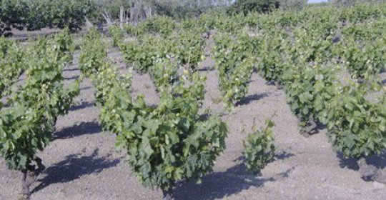 Parc Natural del Cap de Creus
