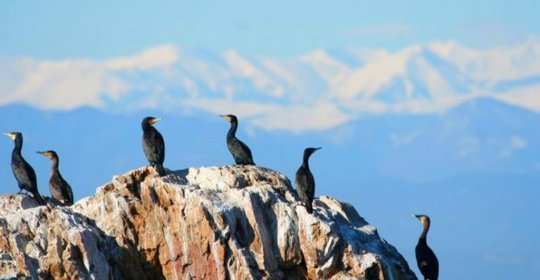 Parc Natural del Cap de Creus