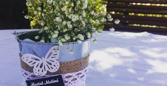 Hostal Moliné