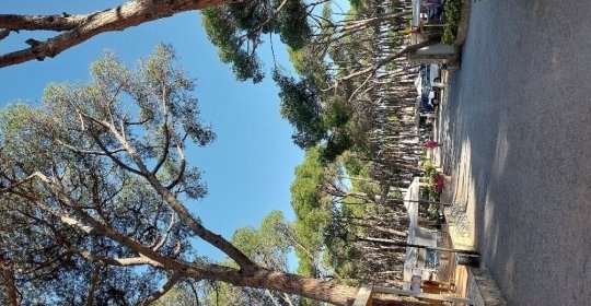 Càmping Costa Brava