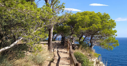 IMMO PRESTIGE | VACAY