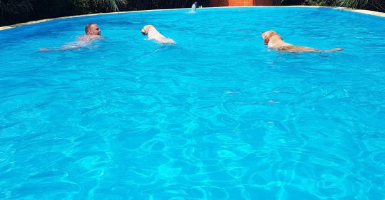 Mas Torrencito pet friendly