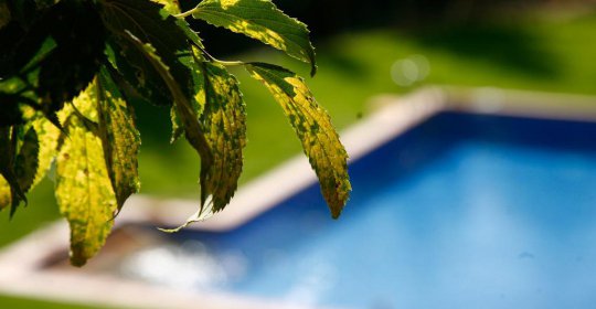 Riudecòs Agroturisme