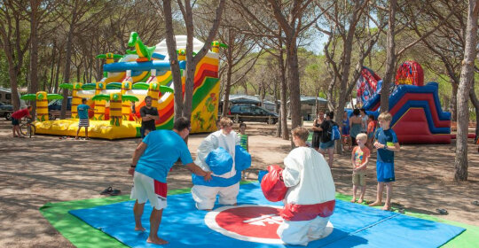 Albatross Mobile Homes on Camping Playa Brava