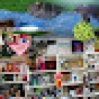 Pijus Magnifikus Friki Store