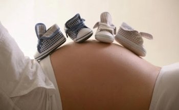 Unidad de Reproducción (URE) Centro Gutenberg