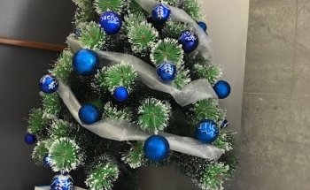 Clinica Dental Aldea de San Nicolás S.L.