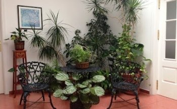 Clínica Dental Fernanda Sánchez Gallardo