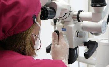 Clínica Dental María J. Provedo