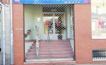 CLÍNICA DENTAL CARRIZO DE LA RIBERA.