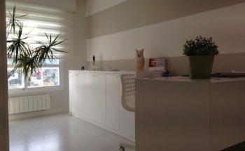 Clinica dental Dra Iria García Casal