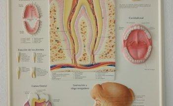 Dra. María del Pilar Lozano Tornero